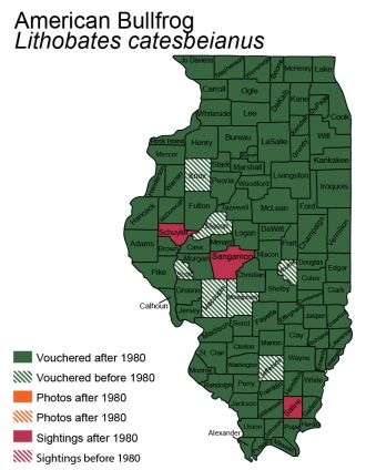 Illinois map of American Bullfrog distribution