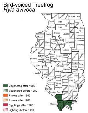 map of bird-voiced treefrog distribution in Illinois