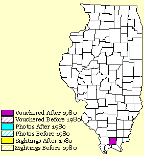 map of collared lizard distribution in Illinois