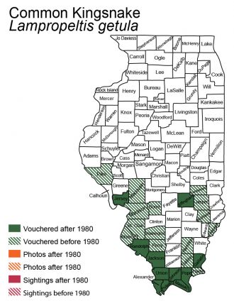 Illinois distribution of eastern black kingsnake