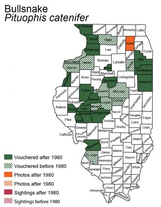 Illinois distribution of gophersnake