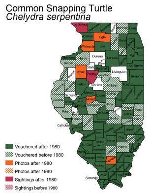 Illinois map of snapping turtle distribution