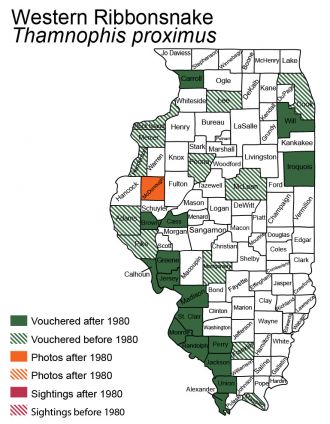 Illinois distribution of western ribbonsnake