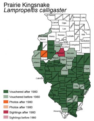 Illinois distribution of yellow-bellied kingsnake